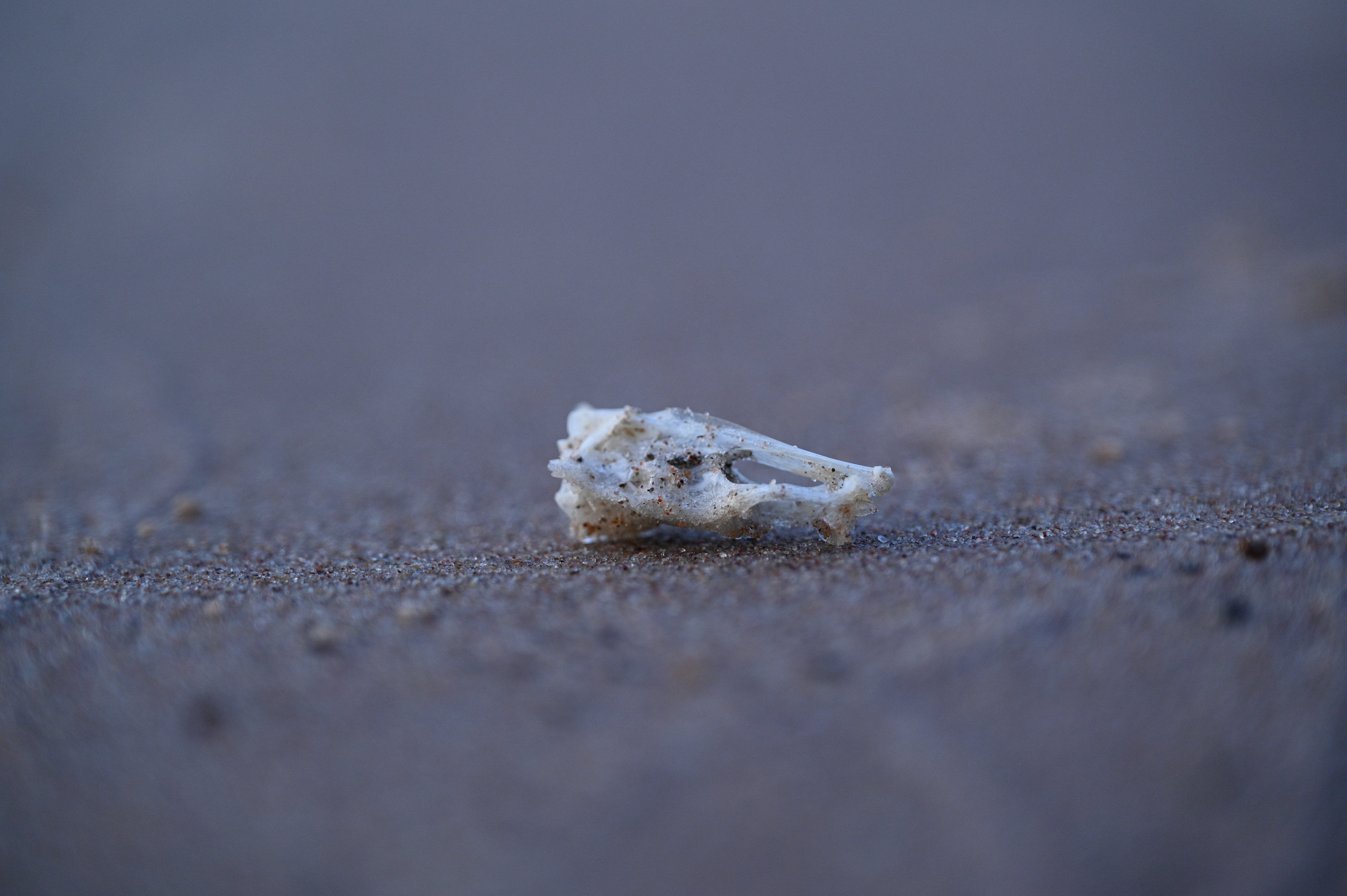 2025/07/09-14 - trip/DSC_0638.JPG